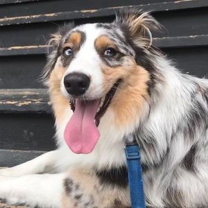 Meet your Posher, Timothy